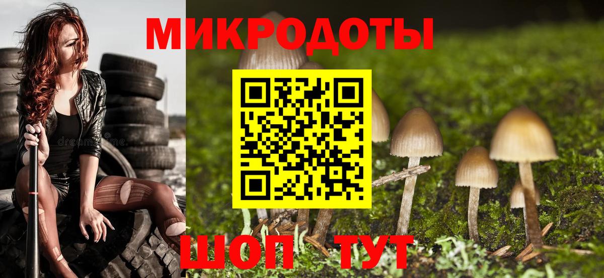 Галлюциногенные грибы GOLDEN TEACHER  Вход с VPN  Северобайкальск 